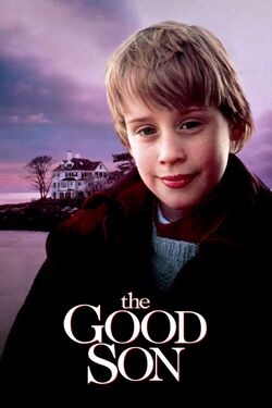 The Good Son (film) - Wikipedia