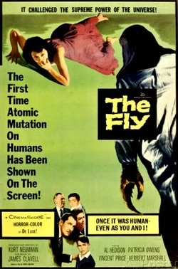 Fly, The