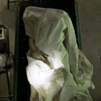 Buffy The Vampire Slayer Some Assembly Required Headhunter S Horror House Wiki Fandom Angelo spizzirri dettagli biografia, filmografia, premi, news e rassegna stampa. vampire slayer some assembly required