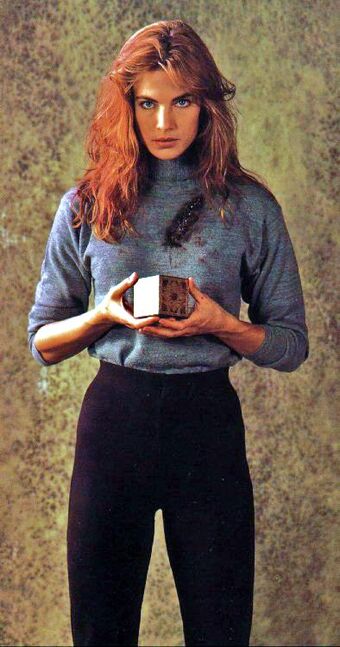 Terry Farrell Headhunter S Horror House Wiki Fandom The story begins at the height of gleason's career. terry farrell headhunter s horror