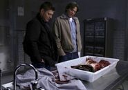 Supernatural 2x15 003