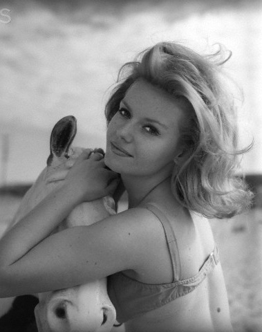 Sharon farrell images