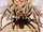 Tarantulas: The Deadly Cargo