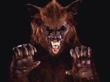 Werewolf (TV Series)