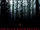 Blair Witch Project, The