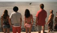 Idiots watch a shark