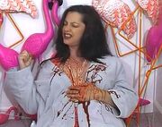 Death of Miss Johnson (Bikini Bloodbath)