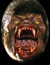 An American Werewolf in Paris - Wikipedia