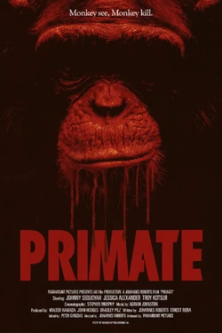 Primate