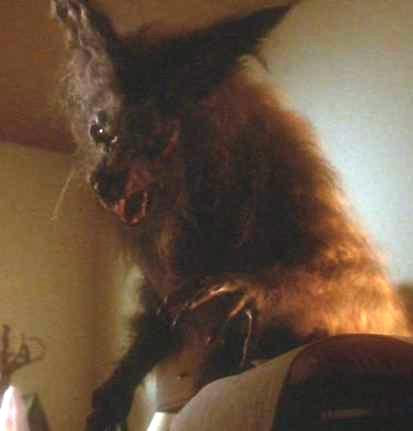 An American Werewolf in Paris - Wikipedia