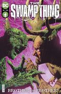 The Swamp Thing Vol 1 9