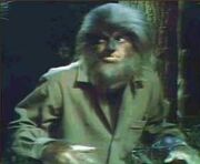 Alex Stevens werewolf