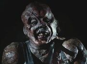 Victor Crowley (Hatchet) 03