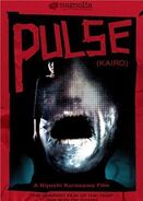 Pulse 2001