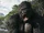 Apes