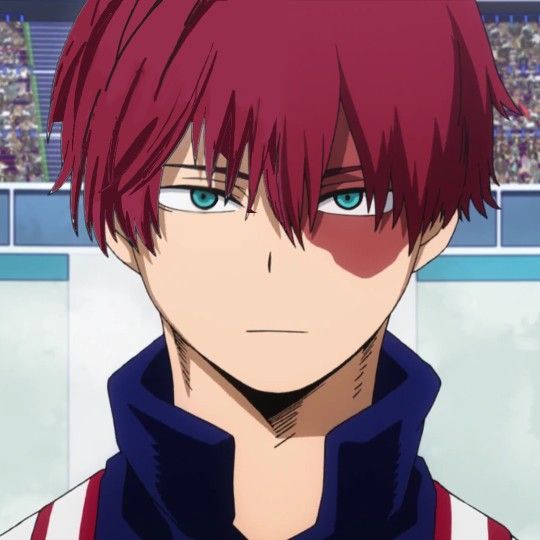 character idea/todoroki/the update master  head soccer wiki