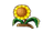 Costume 010.png