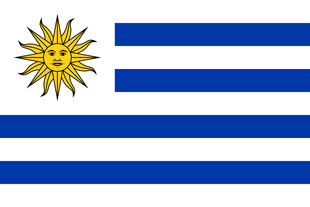 The flag of Uruguay