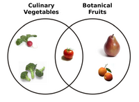 File-Botanical Fruit and Culinary Vegetables