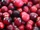 Cranberry