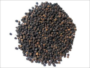 Black pepper