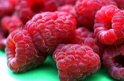 Raspberries
