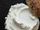 Cream Cheese