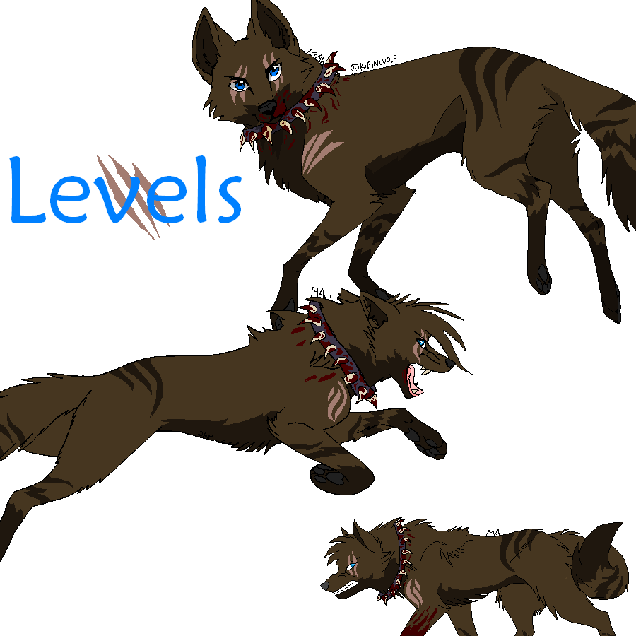 Levels | Wiki Heart wolves | Fandom