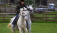 Dr Tricia Summerbee in Horses for Courses