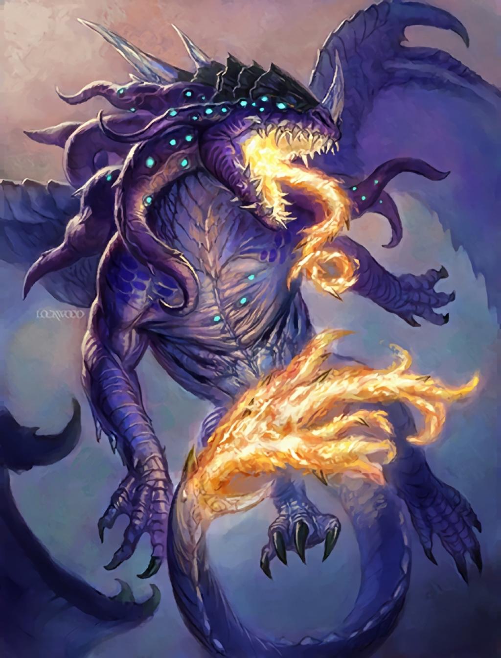 Midnight Drake - Hearthstone Wiki