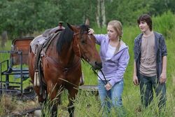 Where the Truth Lies | Heartland Wiki | Fandom