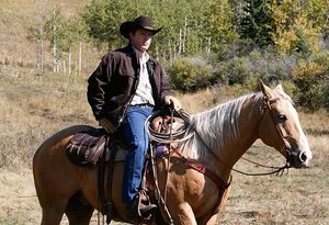 Champ | Heartland Wiki | Fandom