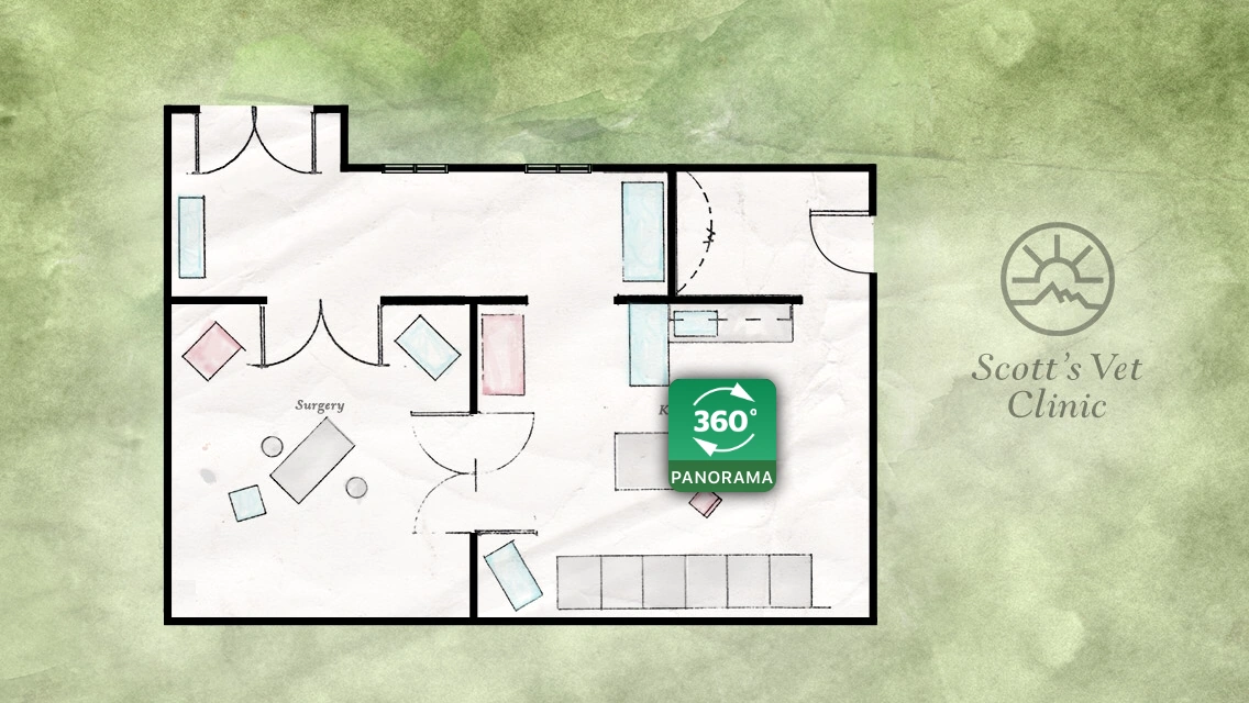 Hudson Vet Clinic Heartland Wiki Fandom