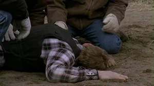 3x14