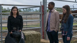10x03