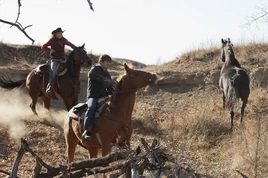 Tumblr me26rtQT1C1rrpmqjo1 500