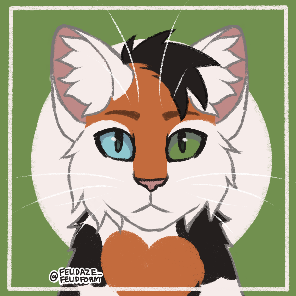 Windcloud (Catperson21) | Warriors Fan Made Clans Wiki | Fandom