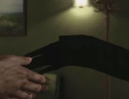 Laurengloves.png (165 KB) Lauren's gloves