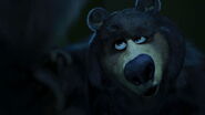 Vincent the Bear