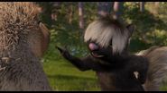 Stella the Skunk