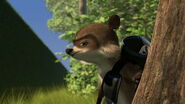 RJ the Raccoon