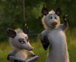 Heather Over the Hedge Wiki Fandom