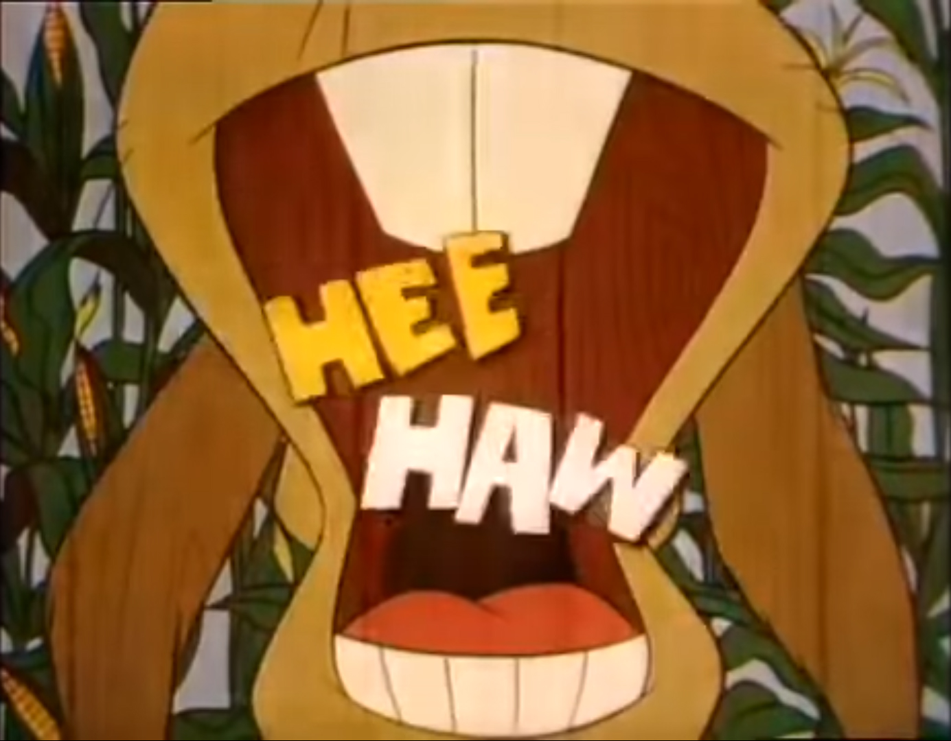 Susan Raye Hee Haw