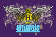 Animalsbanner