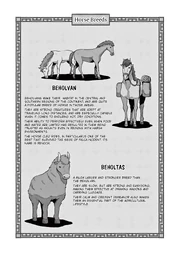 Horse Breeds
