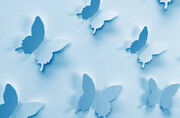 Bluebutterfly