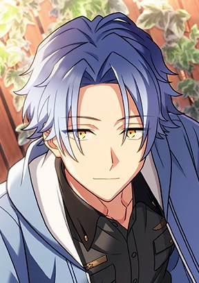 Nico/Cards | Helios Rising Heroes Wiki | Fandom