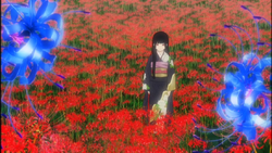 Ichinuke | Hell Girl (Jigoku Shoujo) Wiki | Fandom