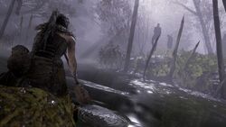 Hellblade 2 Developer Shows Off Incredibly Detailed Character