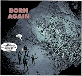 Born Again - title panel